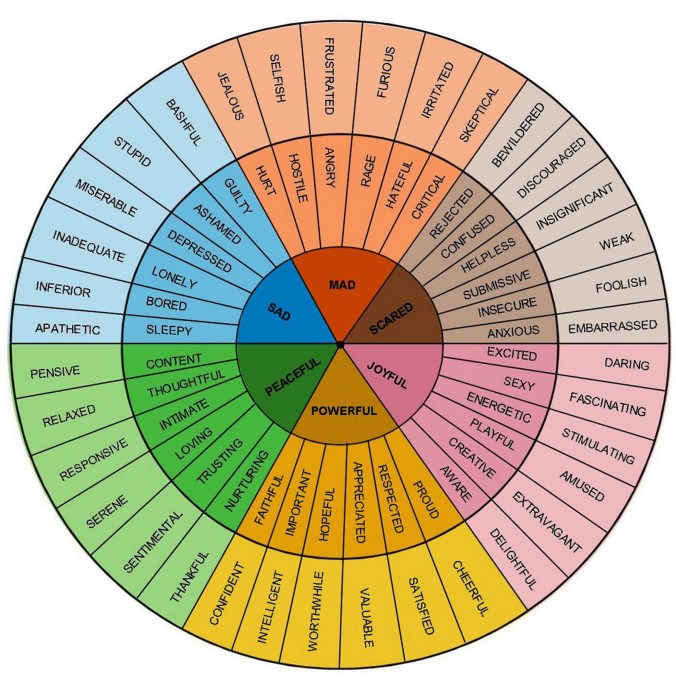 emotions wheel