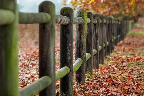 fence-posts-2331414_1920